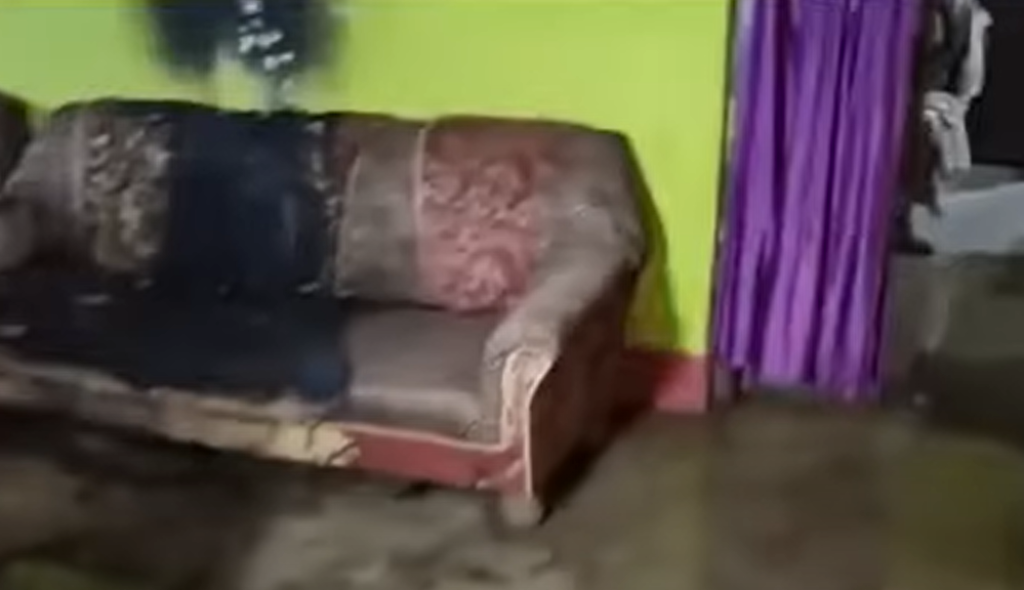 Screenshot 2024 12 01 230758