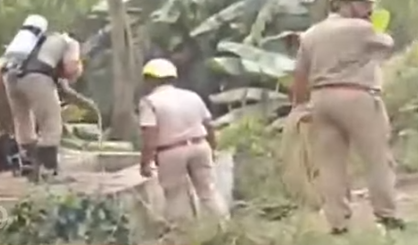 Screenshot 2024 12 06 193509