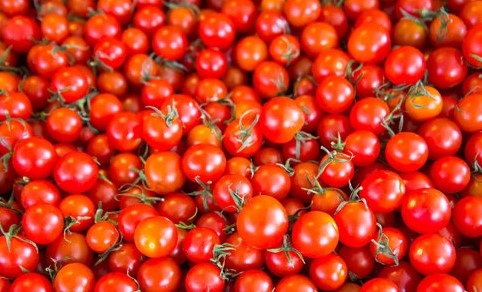 Screenshot 2025 02 12 121514