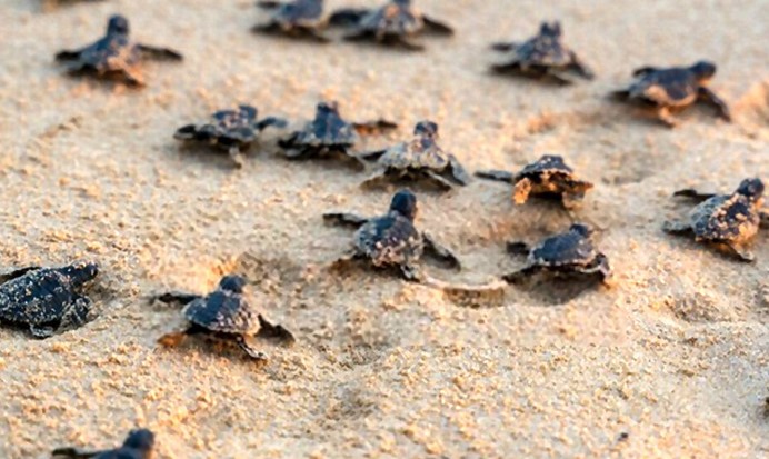 Screenshot 2025 02 16 160740