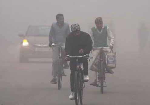 Screenshot 2025 02 20 122207