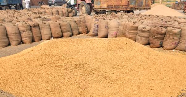 Screenshot 2025 02 23 140004