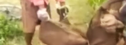 Screenshot 2025 03 01 113303