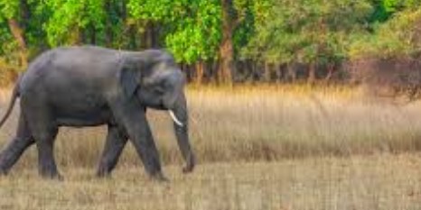 Screenshot 2025 03 06 161705