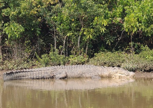 Screenshot 2025 05 01 150140