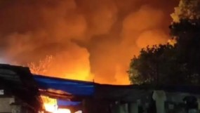 Screenshot 2025 05 05 172430 1