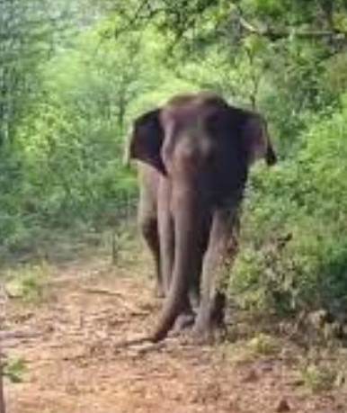 Screenshot 2025 05 20 190549