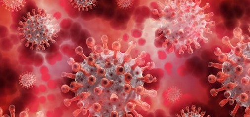 Screenshot 2025 05 29 195445 1